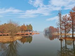 -贡湖湾湿地公园