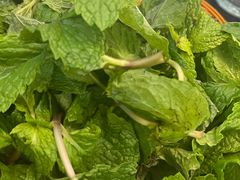 -抚仙湖生态石锅鱼野生菌(告庄店)
