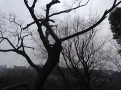 -贵阳市花溪国家城市湿地公园