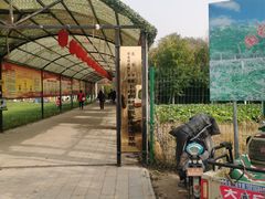 -草根堂农场