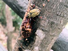 -宁波五龙潭景区