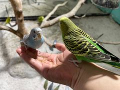 -上海大自然野生昆虫馆