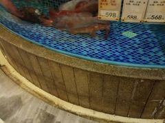 水产区-太子园林酒家