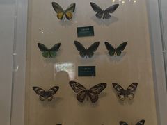 -陕西自然博物馆