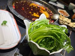 -宽坐火锅(万象城店)