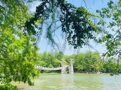 -东湖落雁景区