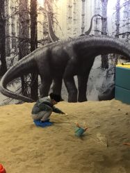 -恐龙探索乐园(磁器口店)