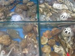 -沟北海边饭店(海埠路店)