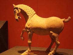 -陕西历史博物馆