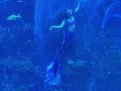 -威海华夏城景区