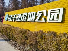 -渌洋湖湿地公园