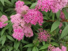 -柳湖沙月沙滩公园