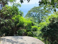 -火炉山森林公园