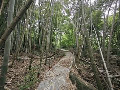 -黄山翡翠谷景区
