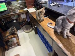 -小月靓虾(湘隆时代广场店)