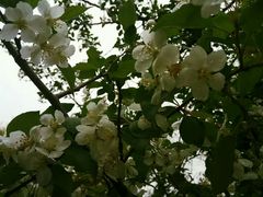 -青岛中山公园-索道售票处