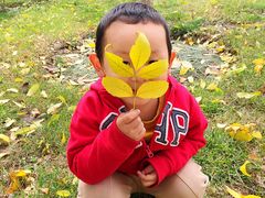 -武清南湖绿博园