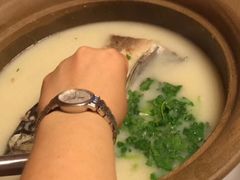 -海江5号