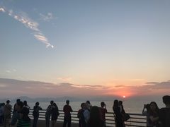 -演武大桥观景平台