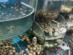 -仙螺岛海鲜自助餐厅(总店)