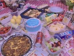 -长白岛森林公园