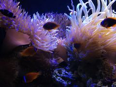 -福州罗源湾海洋世界旅游区