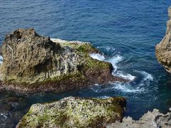 -龙坑生态保护区