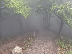 -梧桐山风景名胜区