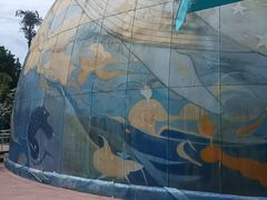 -海合安成都极地海洋公园