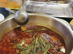 -金鼎雪山牦牛杂火锅(理县总店)