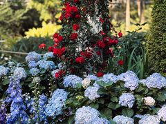 -广州市白云山风景名胜区