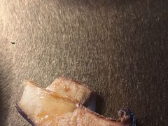 -辛氏火炉·韩式古法烤肉(松北店)