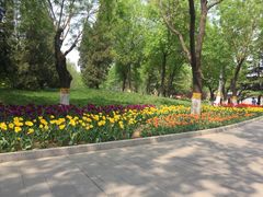 -丰台花园