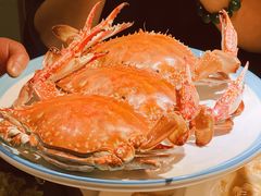 -开海·红岛海鲜虾水饺(石老人店)