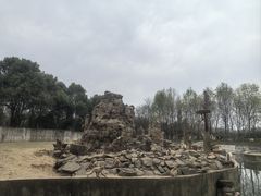 -合肥野生动物园