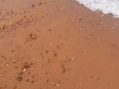 -青岛第三海水浴场