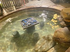 -天目湖涵田半山温泉