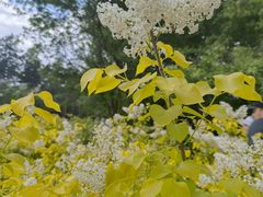 -黑龙江省森林植物园