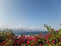 -海南分界洲岛旅游区