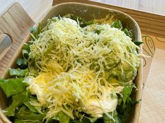 -油梨树 AVOCADO TREE(亮马桥店)