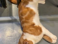 -臻鲜燕海鲜融合餐厅(金陵style店)