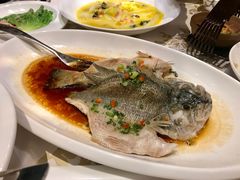 豉油浸鲈鱼-昆山金鹰尚美酒店·金鹰贵宾楼