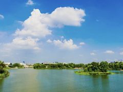 -九里河湿地公园