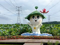 -池杉湖湿地公园