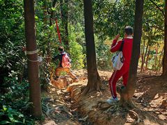 -黄埔油麻山森林公园