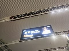-合肥新桥国际机场-航站楼