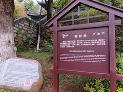 -黑龙潭公园