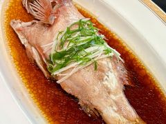 -新光酒家·河豚·海鲜·蟹料理(浦东店)