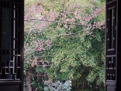 -成都杜甫草堂博物馆