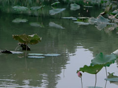 -艾溪湖湿地公园